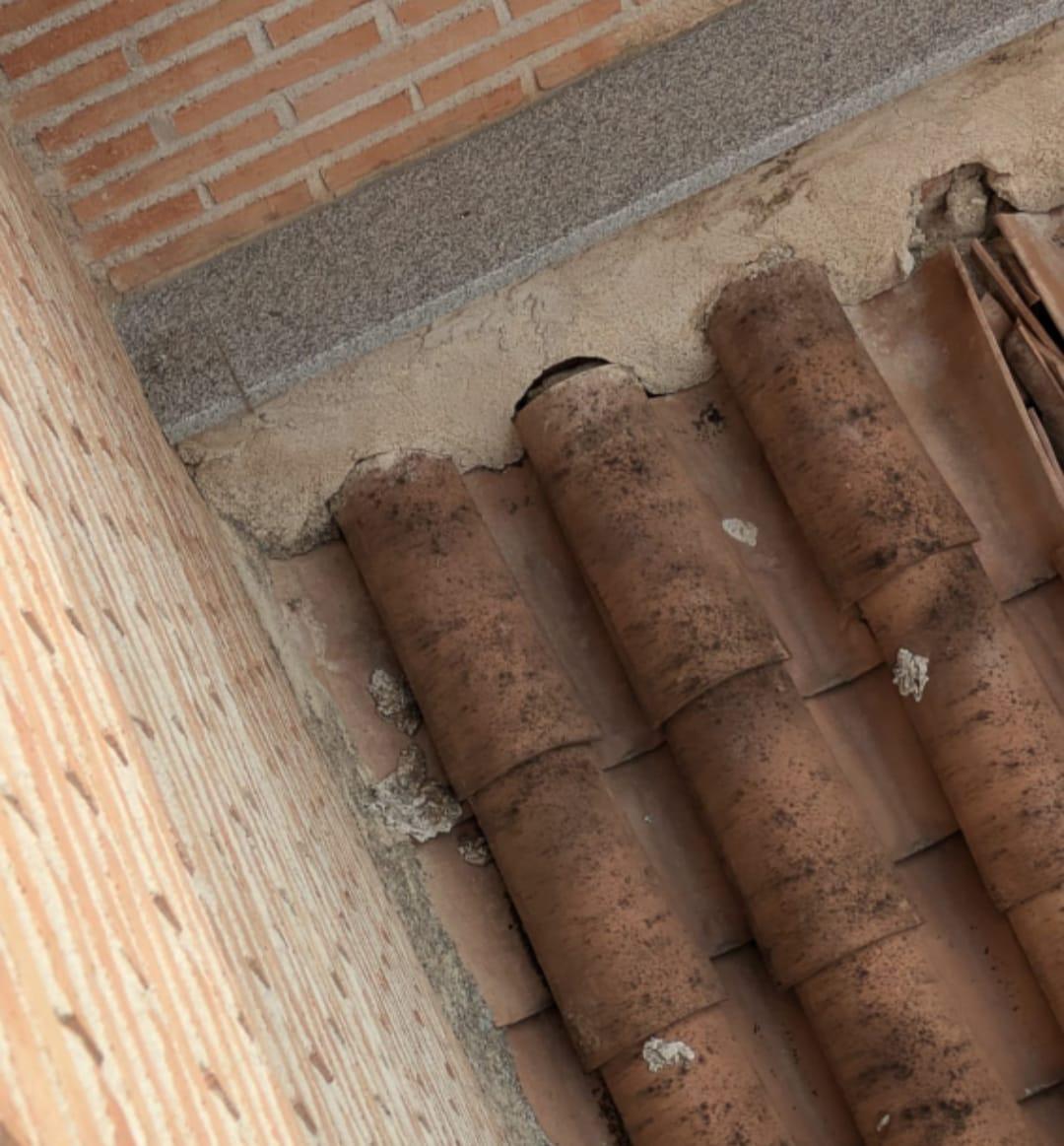 WhatsApp Image 2025-12-15 at 10.42.26 (4)