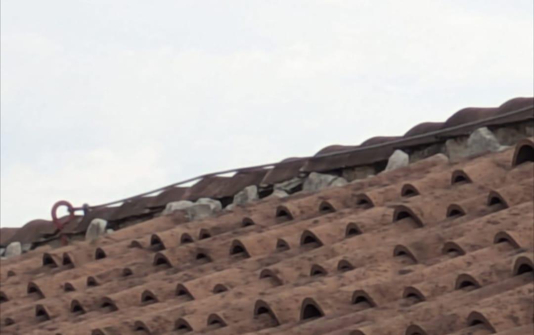 WhatsApp Image 2025-12-15 at 10.42.27 (1)