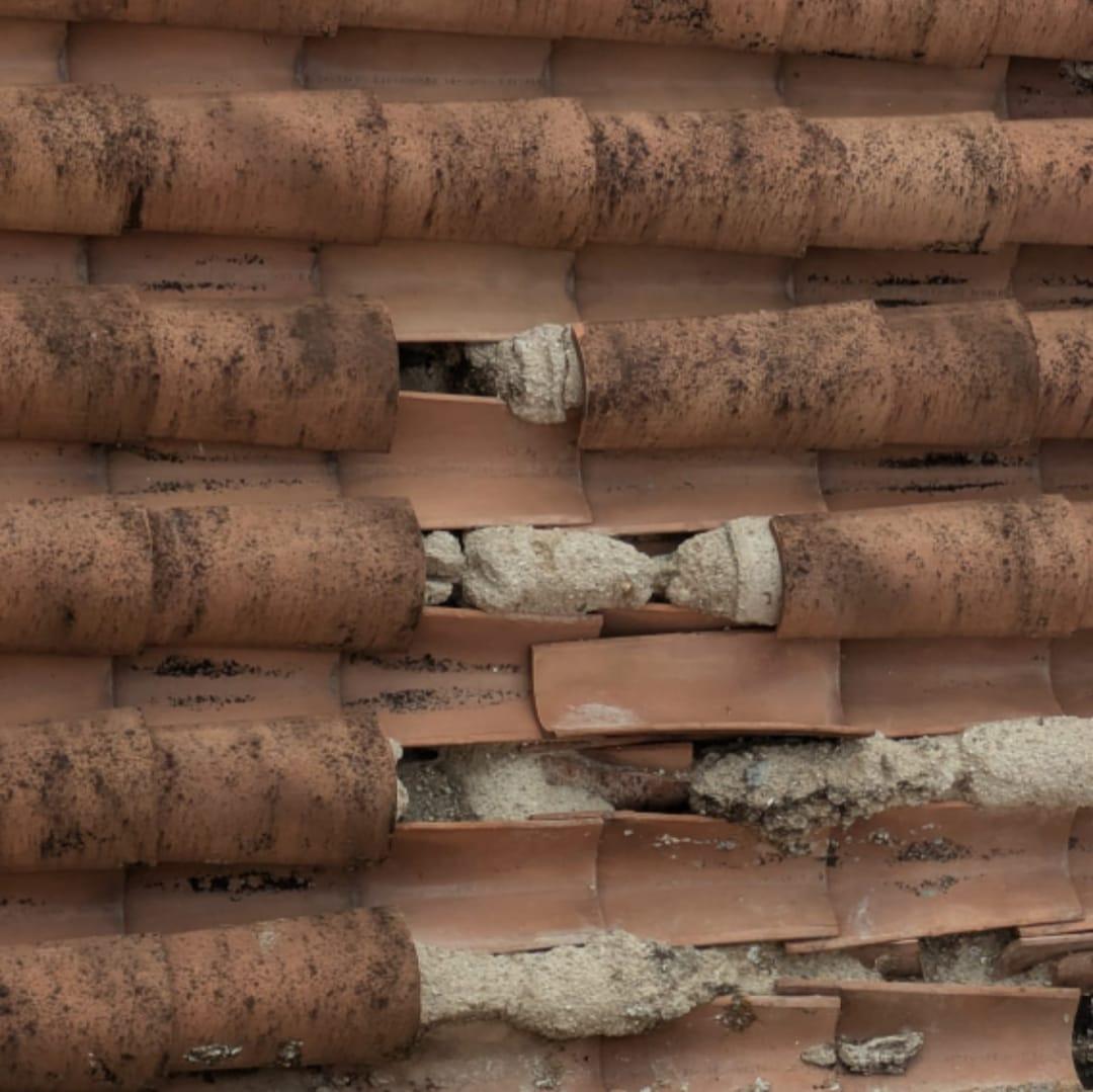 WhatsApp Image 2025-12-15 at 10.42.27