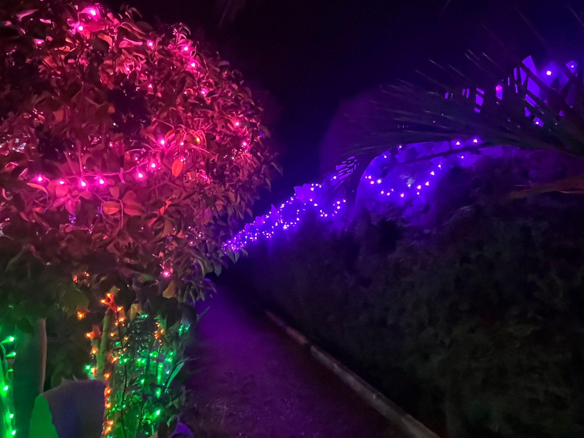 WhatsApp Image 2025-12-18 at 22.55.52