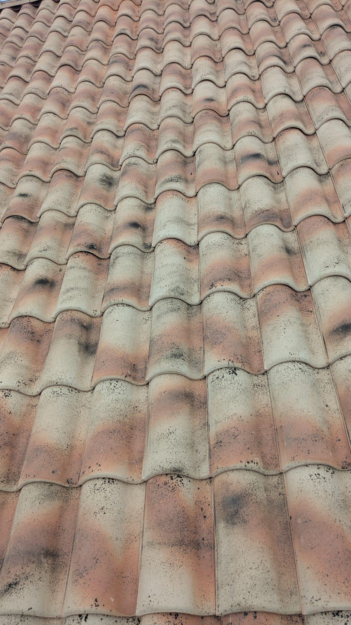 WhatsApp Image 2026-01-15 at 13.37.15 (1)