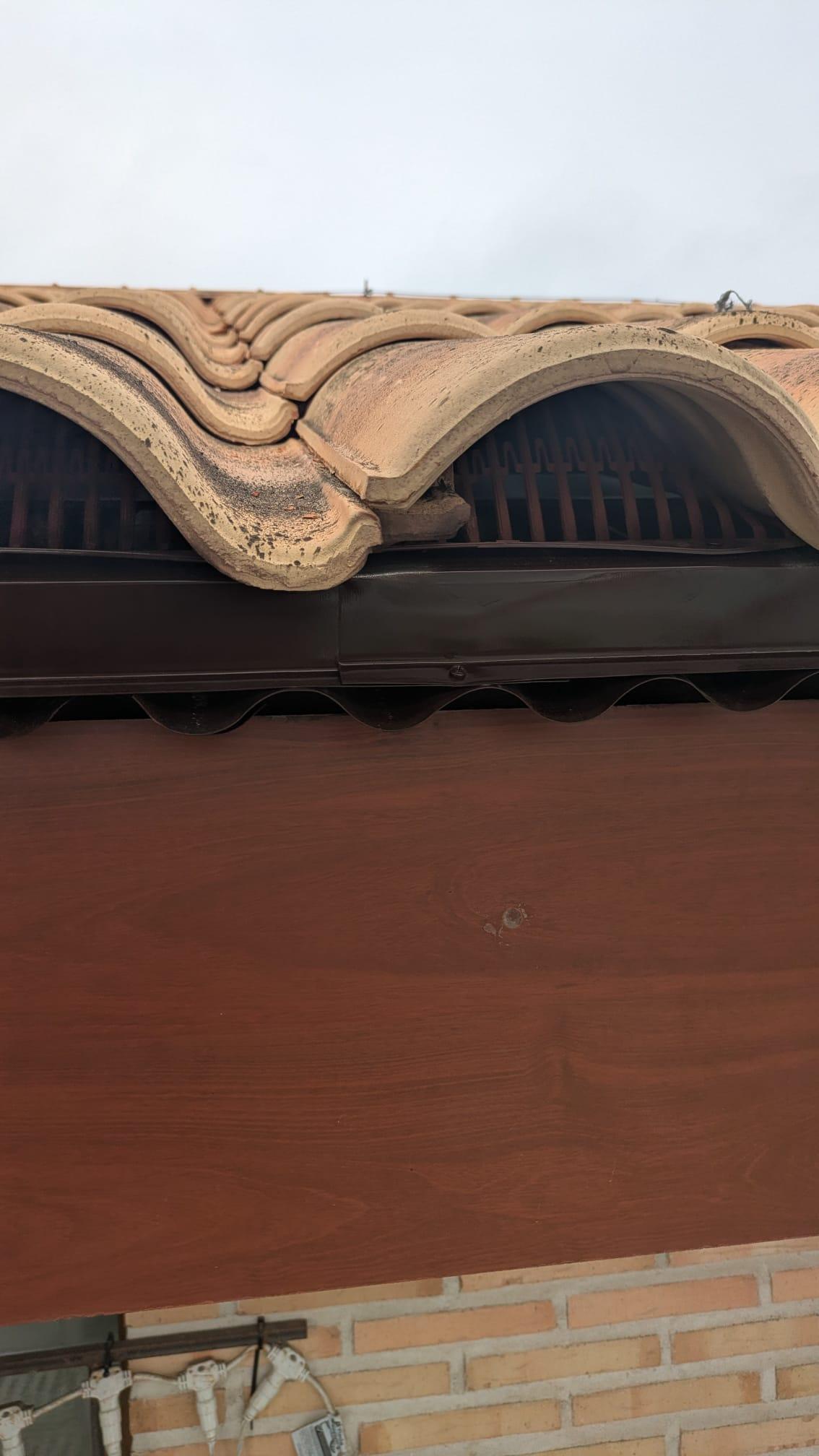 WhatsApp Image 2026-01-15 at 13.37.15 (2)