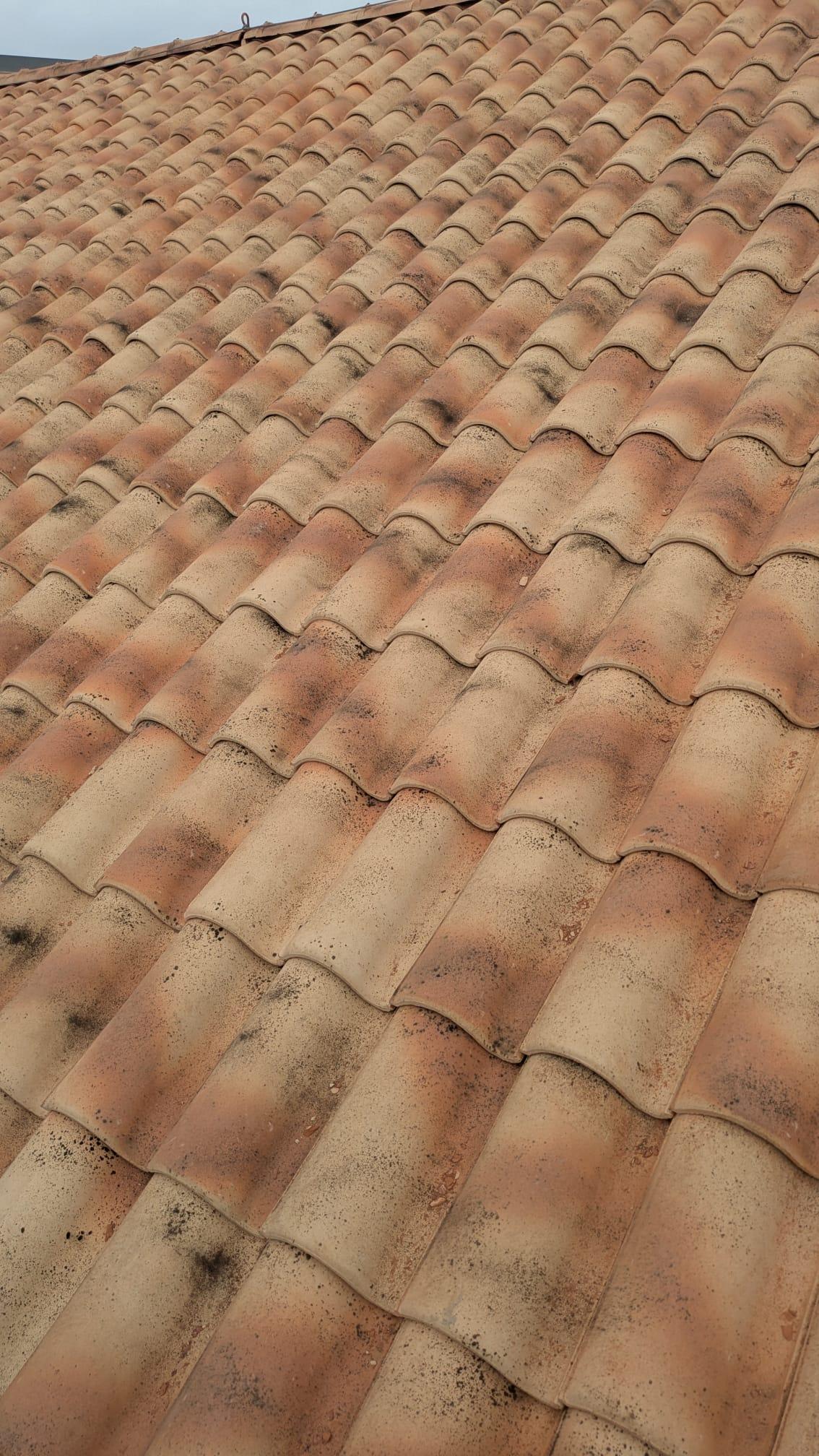 WhatsApp Image 2026-01-15 at 13.37.15 (3)