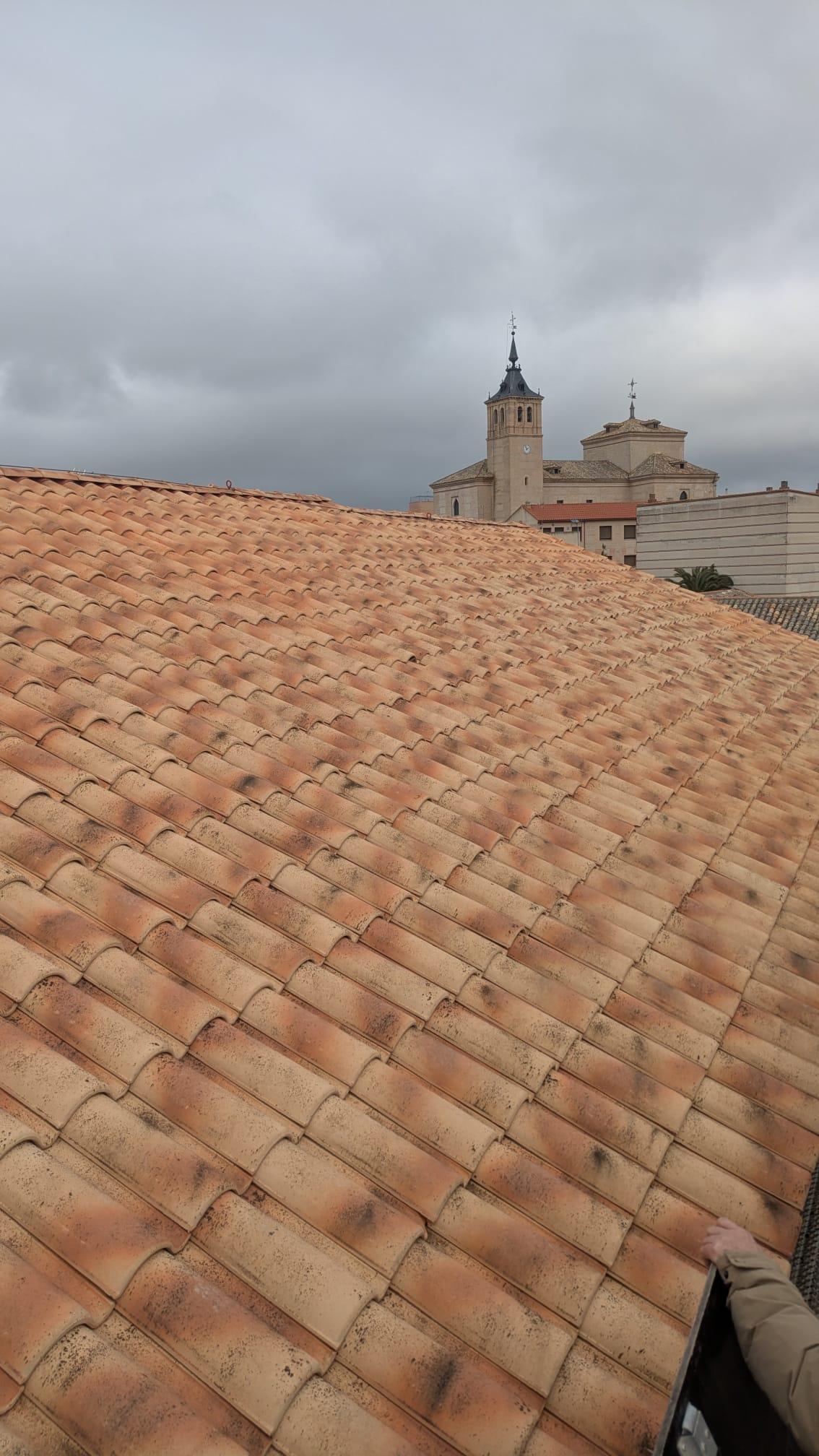 WhatsApp Image 2026-01-15 at 13.37.15