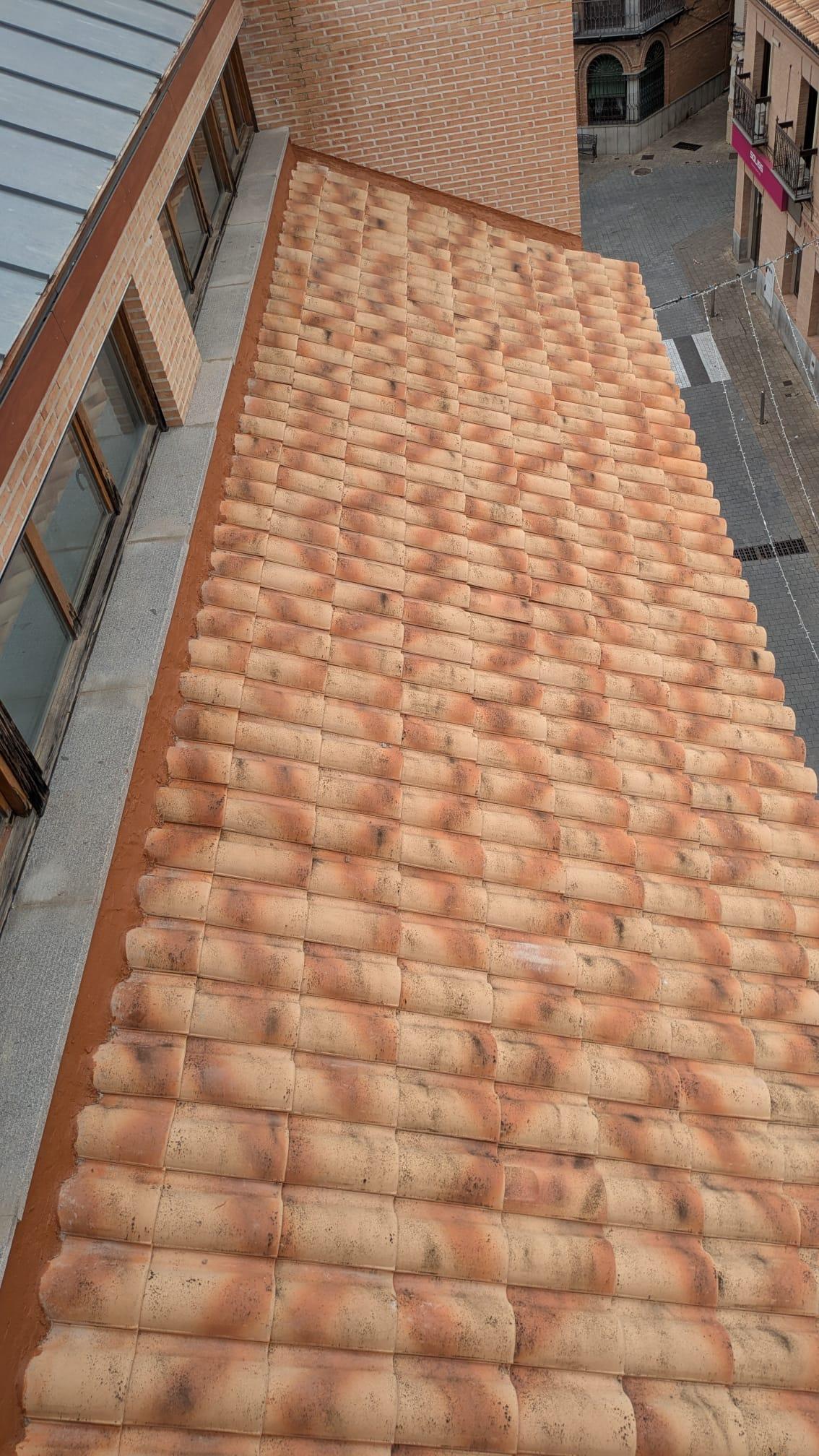 WhatsApp Image 2026-01-15 at 13.39.54