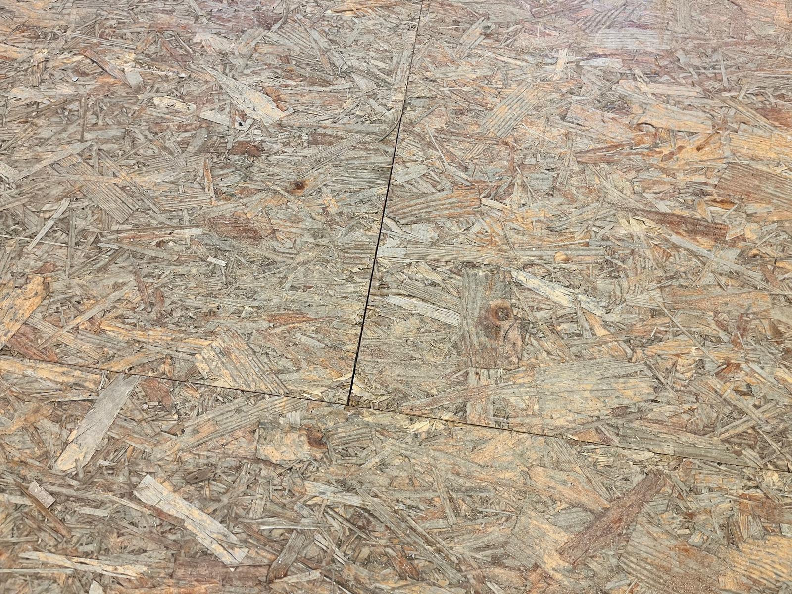 WhatsApp Image 2026-01-26 at 14.05.25 (1)