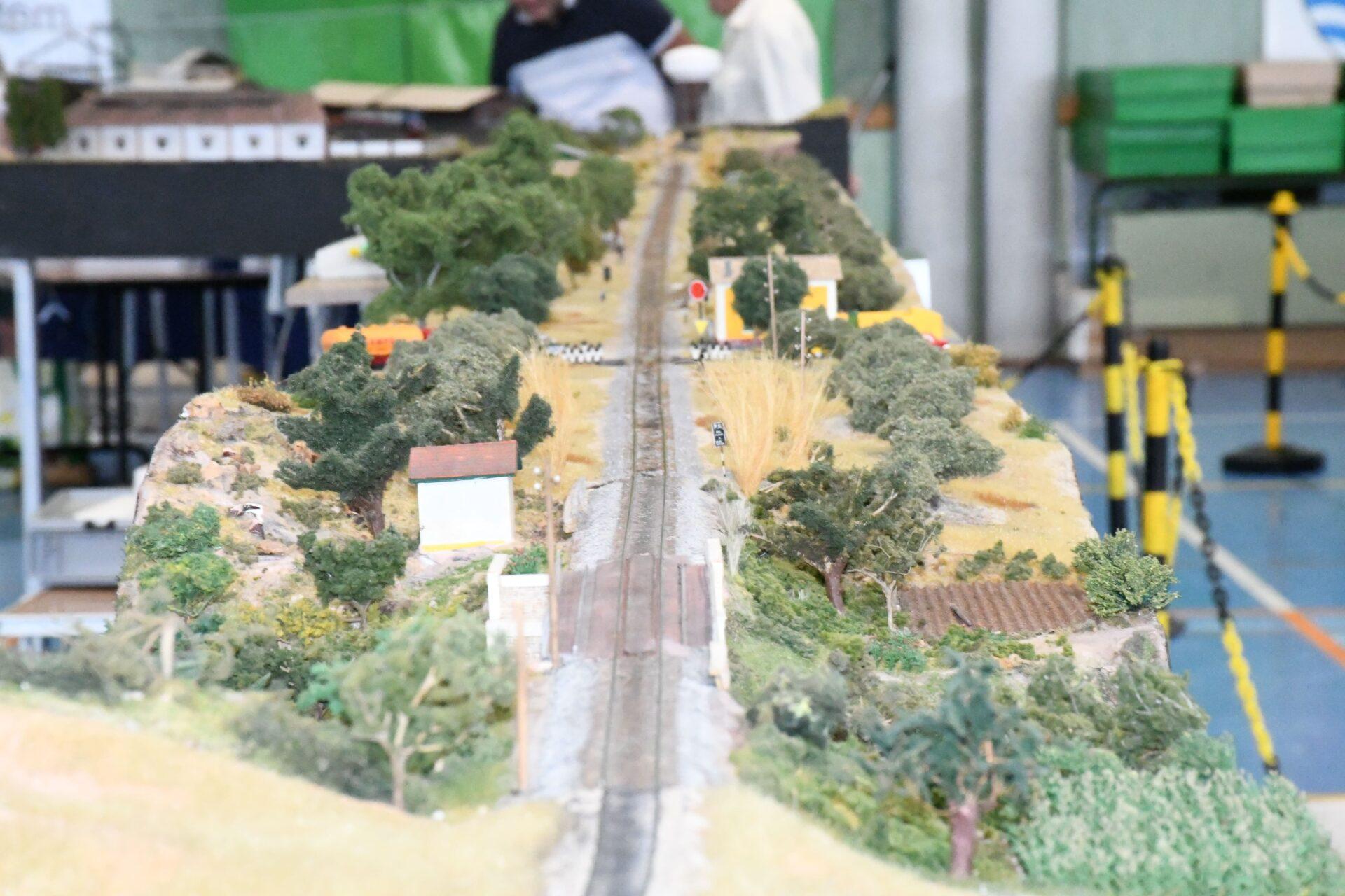DSC_6101
