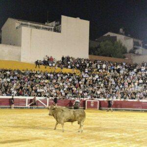 Bargas disfruta de una multitudinaria tarde con la Cagada del Manso y el Encierro de la Resaca